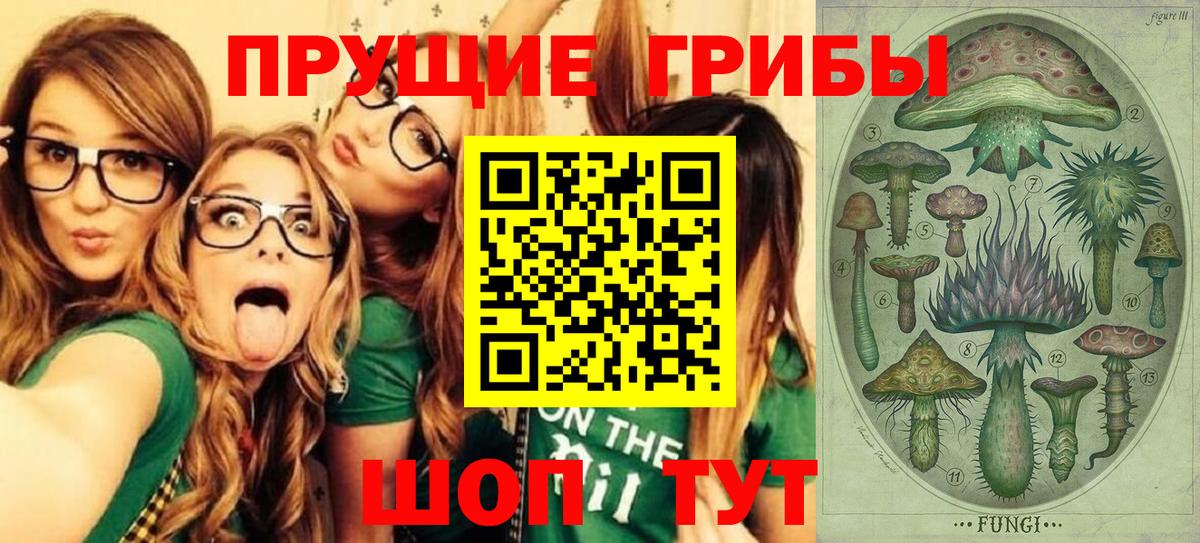 Псилоцибиновые грибы GOLDEN TEACHER  Вход с VPN  Советск 